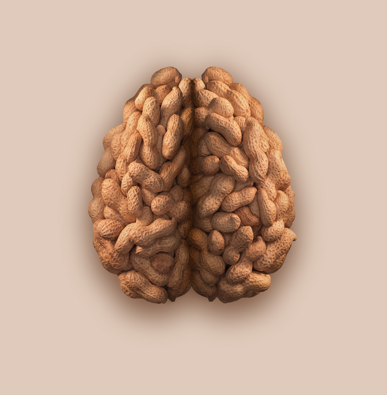 Peanut-Brain