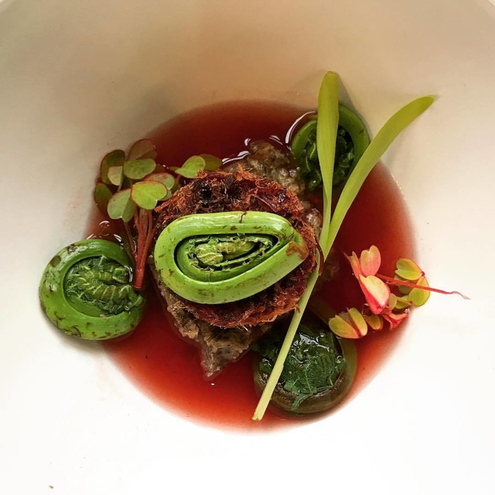 Blossom Moon Second course: Smoked Turkey Cranberry Pemmican Soup • Wild Rice Cake • Fiddlehead Fern • Popcorn Shoot • Sorrel • Cranberry Wojapi Broth